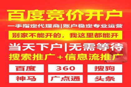 百度竞价推广在电商领域的赚钱案例